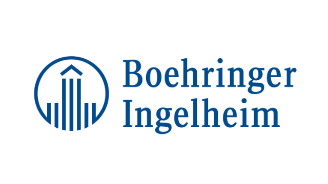 Logo del partner